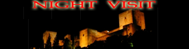 夜の訪問nasrid宮殿のアルハンブラ