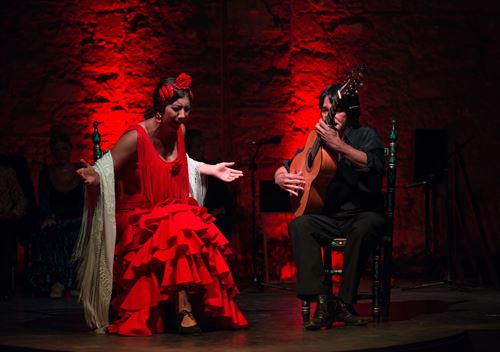 Espectáculo flamenco Jerez Frontera, tablao flamenco Jerez, show flamenco Jerez