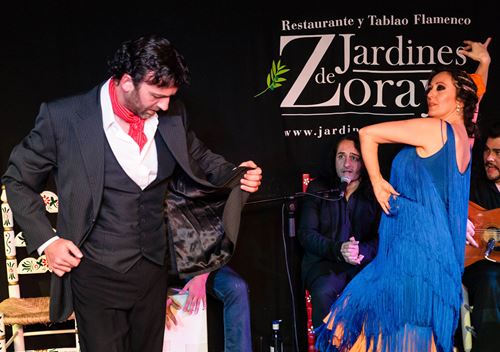 reservar show espectaculo flamenco en granada