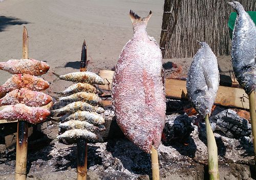 Ruta gastronómica marinera Estepona, tour gastronómico marinero Estepona